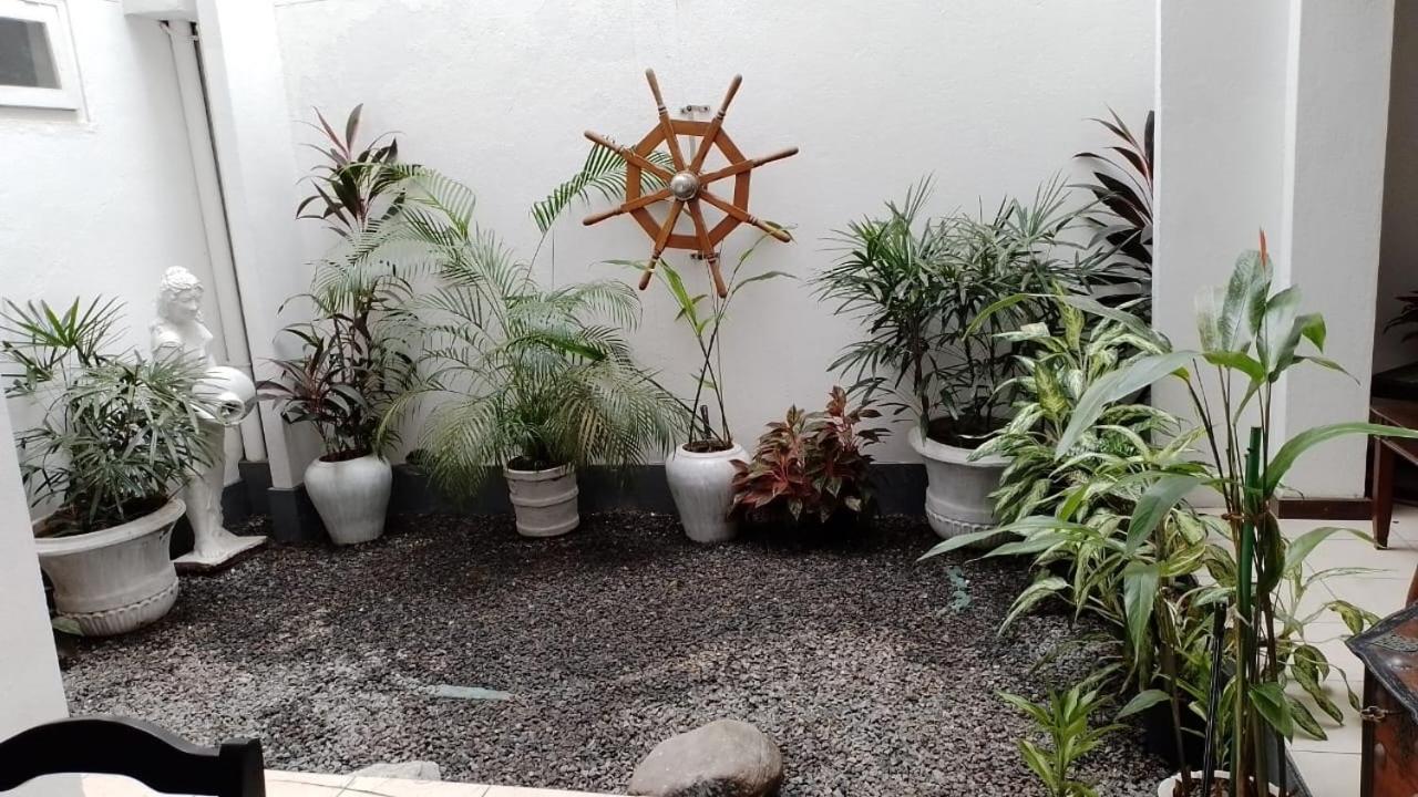 Tempat Tidur & Sarapan Chelsea Kolombo